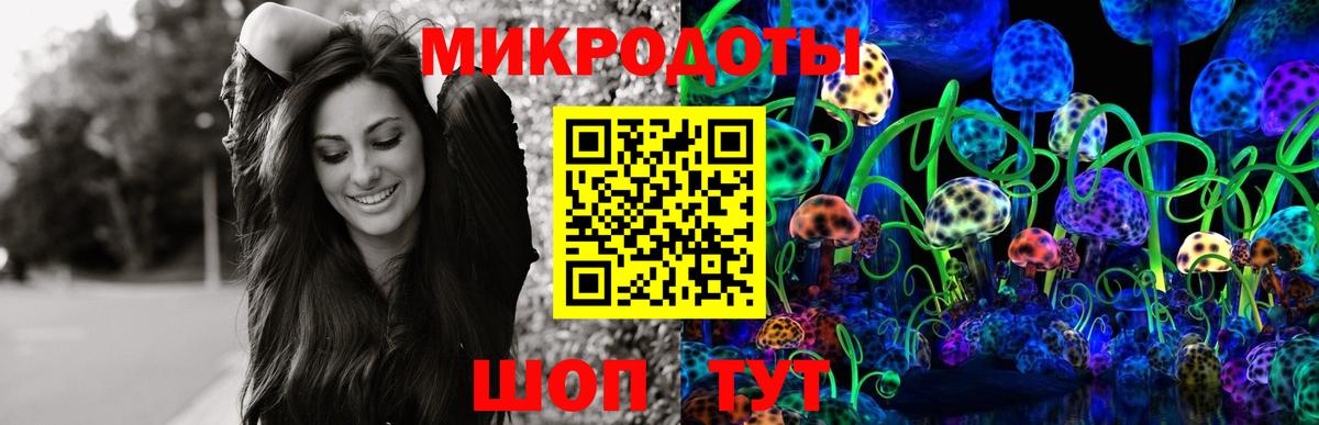 Галлюциногенные грибы Psilocybine cubensis Тихвин