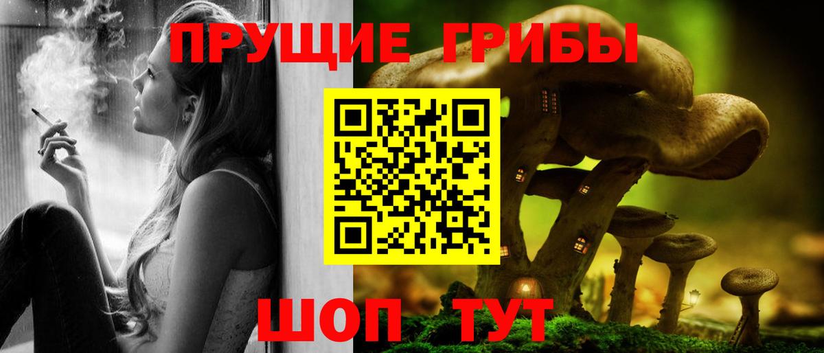 Псилоцибиновые грибы Psilocybe  Вход с VPN  Тихвин 